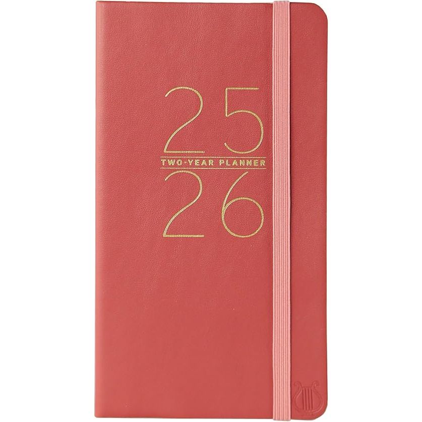 Agenda 2025 Apollo Red 29 Meses