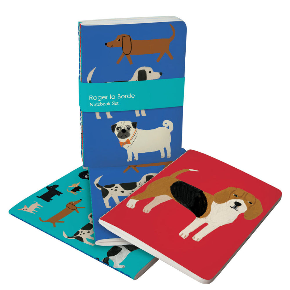 Set de 3 Libretas Shaggy Dogs