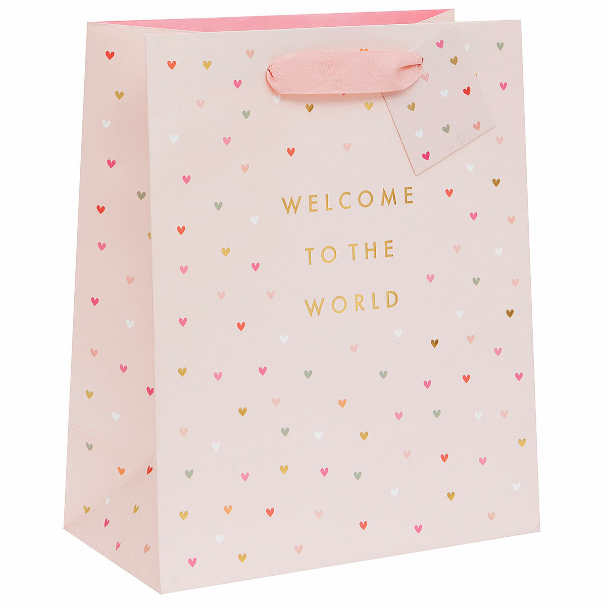 Bolsa Regalo Grande Welcome to the World